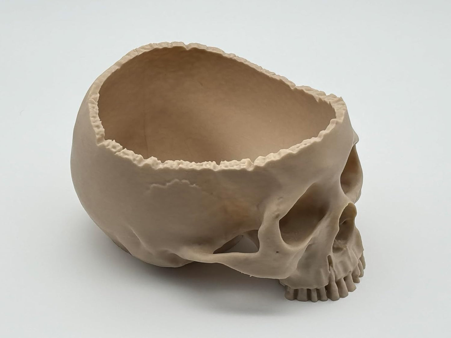 Schädel Schüssel | Maßstabsgetreue Deko Candy Bowl