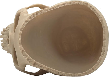 Schädel Schüssel | Maßstabsgetreue Deko Candy Bowl