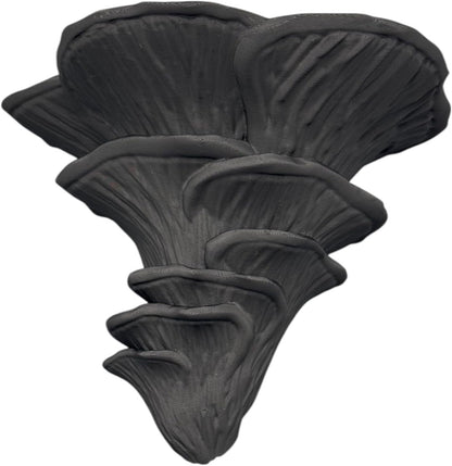 Pilz Wandregal Flamingo Seitling