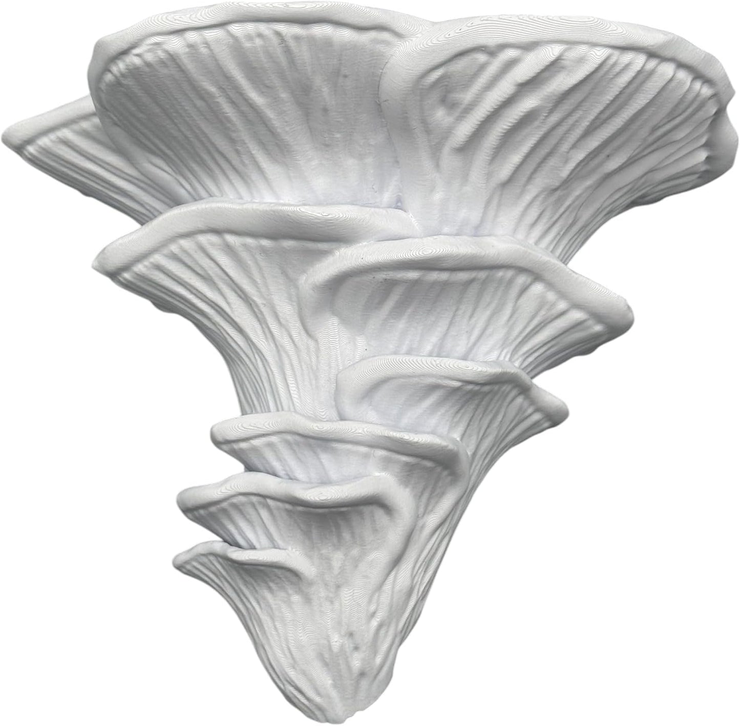 Pilz Wandregal Flamingo Seitling