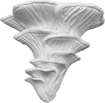 Pilz Wandregal Flamingo Seitling