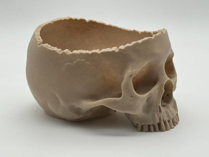 Schädel Schüssel | Maßstabsgetreue Deko Candy Bowl