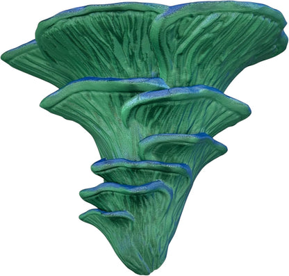 Pilz Wandregal Flamingo Seitling